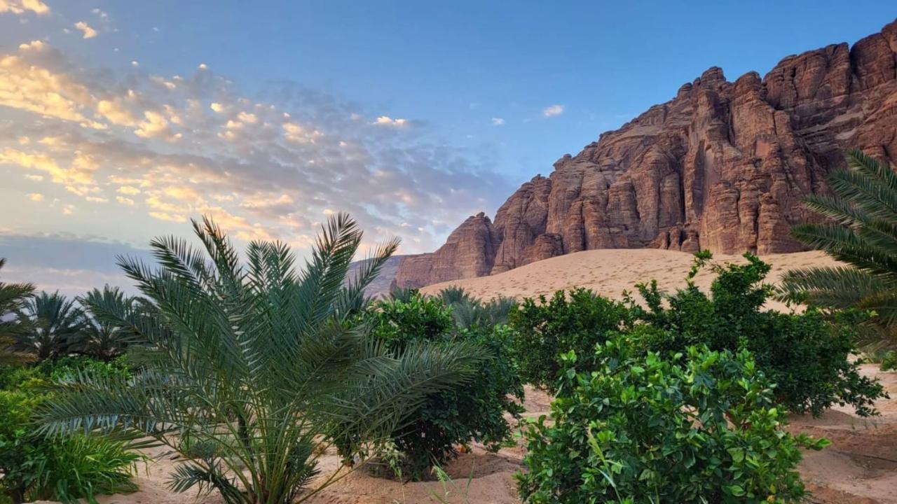 الجوهرة Diamond Plus Villa Al Ula Luaran gambar