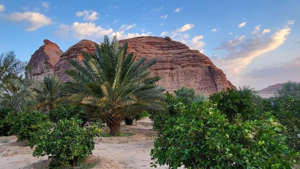 الجوهرة Diamond Plus Villa Al Ula Luaran gambar