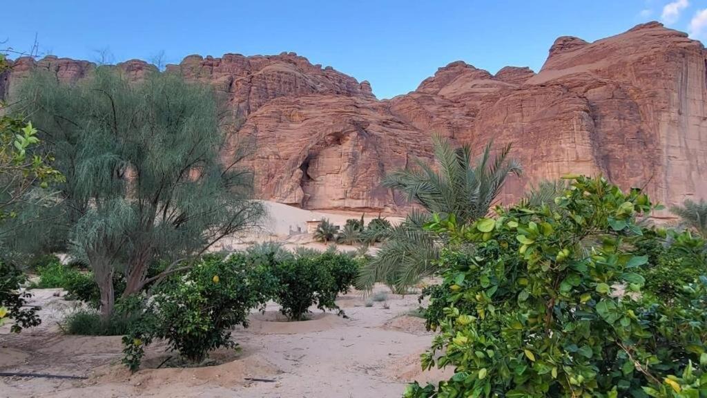 الجوهرة Diamond Plus Villa Al Ula Luaran gambar