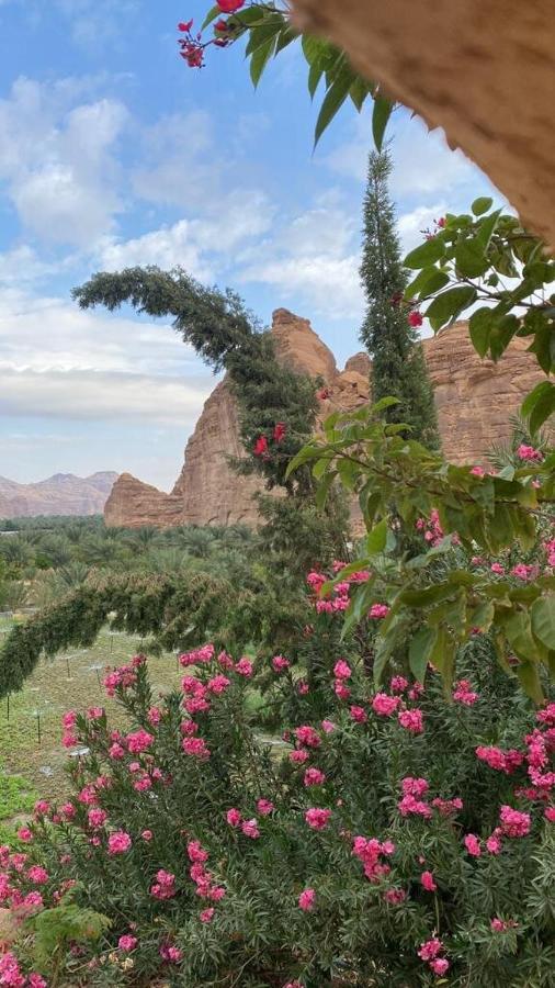 الجوهرة Diamond Plus Villa Al Ula Luaran gambar