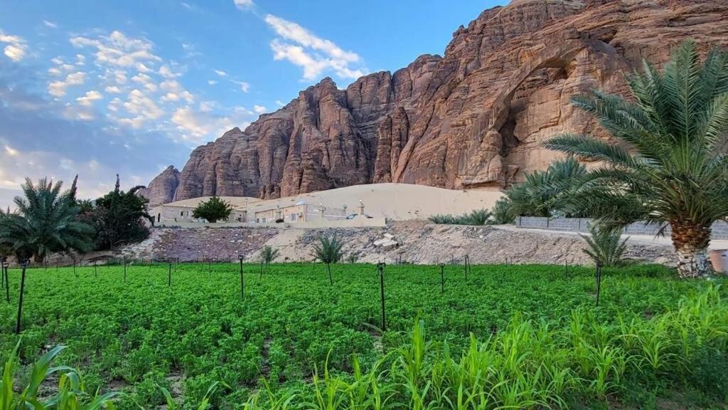 الجوهرة Diamond Plus Villa Al Ula Luaran gambar